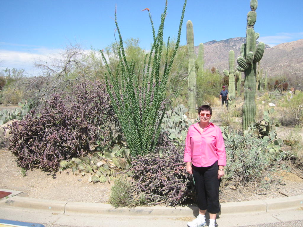 Sabino Canyon, Tuscon, Arizona